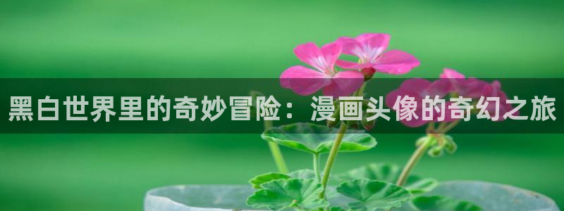 我独自升级漫画免费古古漫画：黑白世界里的奇妙冒险：漫画头像的奇幻之旅